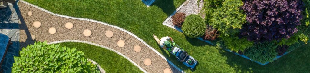 🌿 1. 5 Essential Tips for a Healthy Garden in Dubai’s Climate