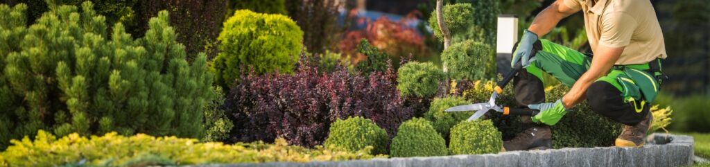 🌳 Why Regular Garden Maintenance Saves You Money